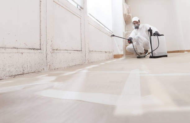 24/7 Emergency Black Mold Remediation experts in Mercersburg, PA